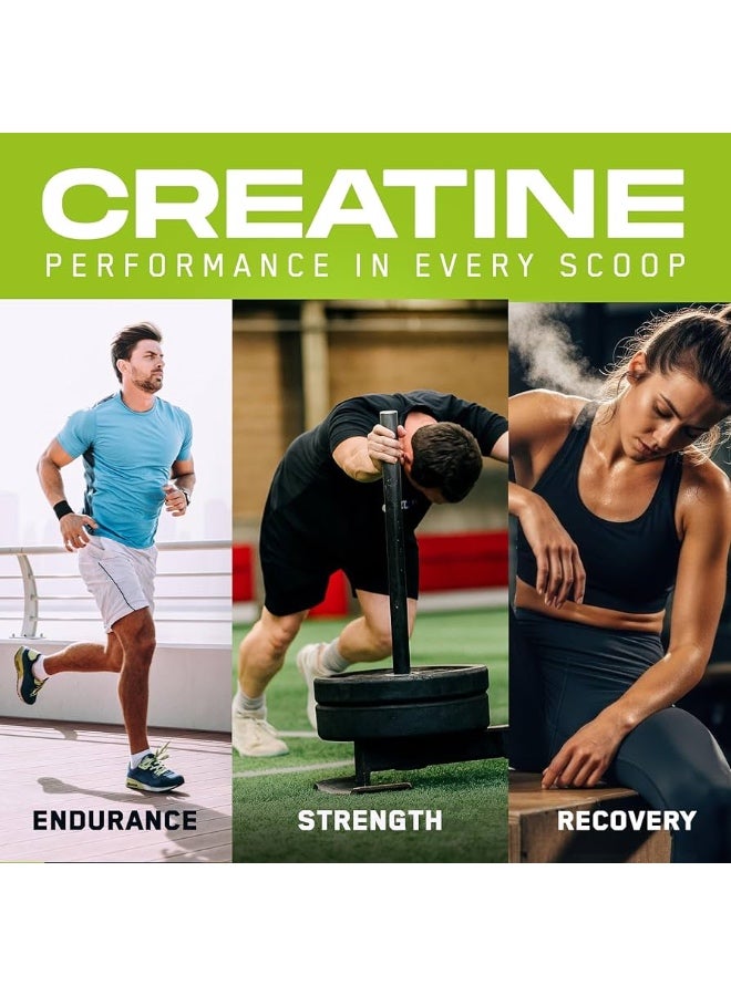 Applied Nutrition Creatine Monohydrate – Made with Creapure® – Best Premium-Grade Creatine – Best Performance & Strength Support – Increased Energy & Endurance – 250g – 50 Servings, Unflavored - Image 3