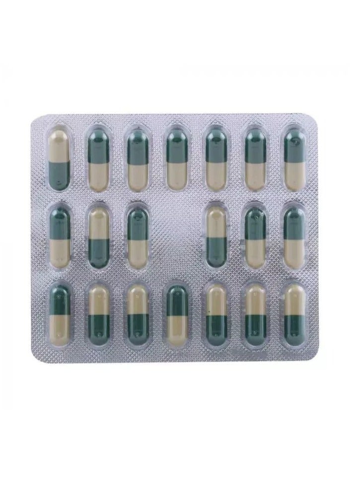 Addyzoa 20 Capsules - Image 2