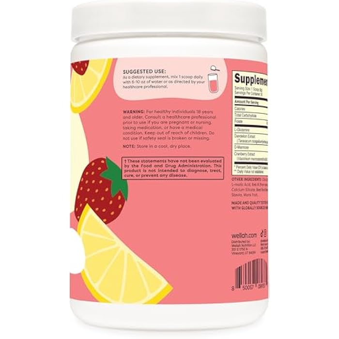 Wellah L-Glutamine Strawberry Lemonade Flavored (50 Servings) - 5g L-Glutamine Per Serving, Sweetened with Stevia - Image 3
