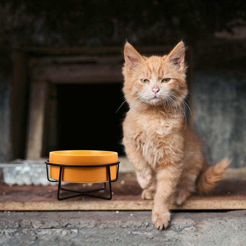 Ceramic Pet Bowl with Iron Stand for Cats and Dogs Anti-Spill Elevated Feeder Dish Matte Finish Bite-Resistant Food and Water Holder Yellow Bowl with Black Frame - Image 4