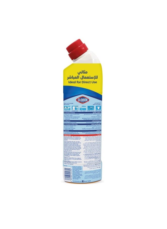 Clorox Clorox Multi-Purpose Bleach Gel Disinfectant Cleaner, Citrus Scent, 750Ml (Packaging may vary)  - Image 2