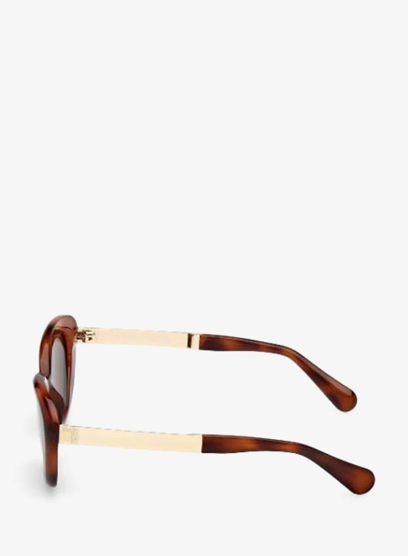 MAXCO SG-dark havana / brown-F - Image 2