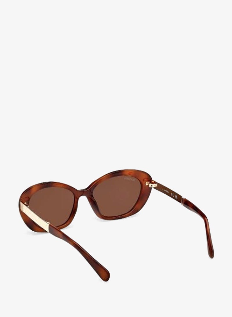 MAXCO SG-dark havana / brown-F - Image 3
