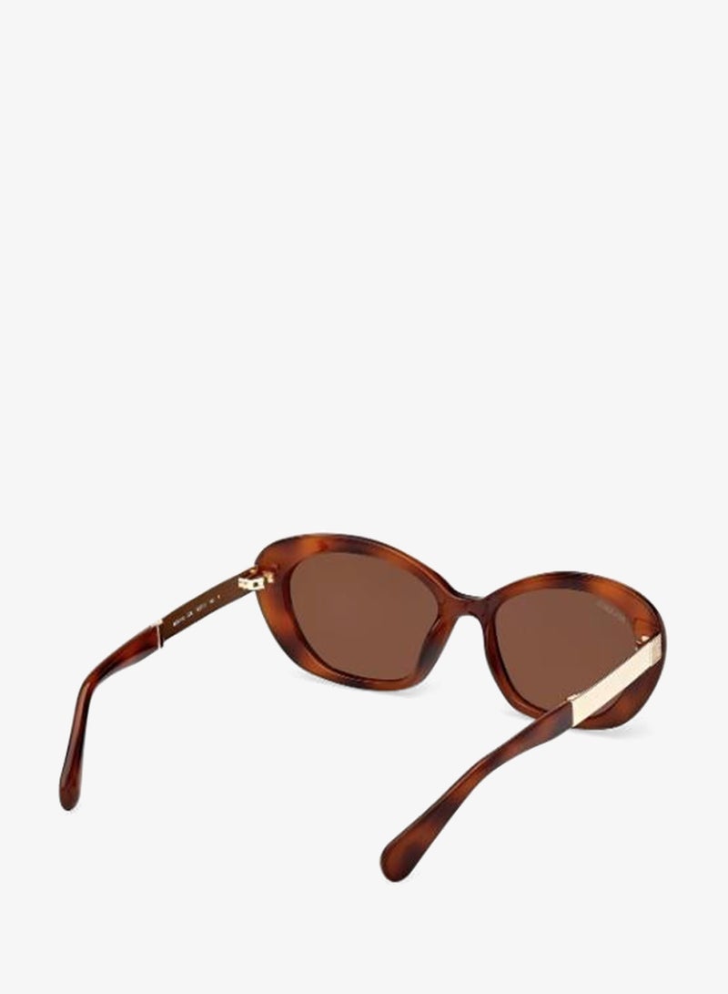 MAXCO SG-dark havana / brown-F - Image 5