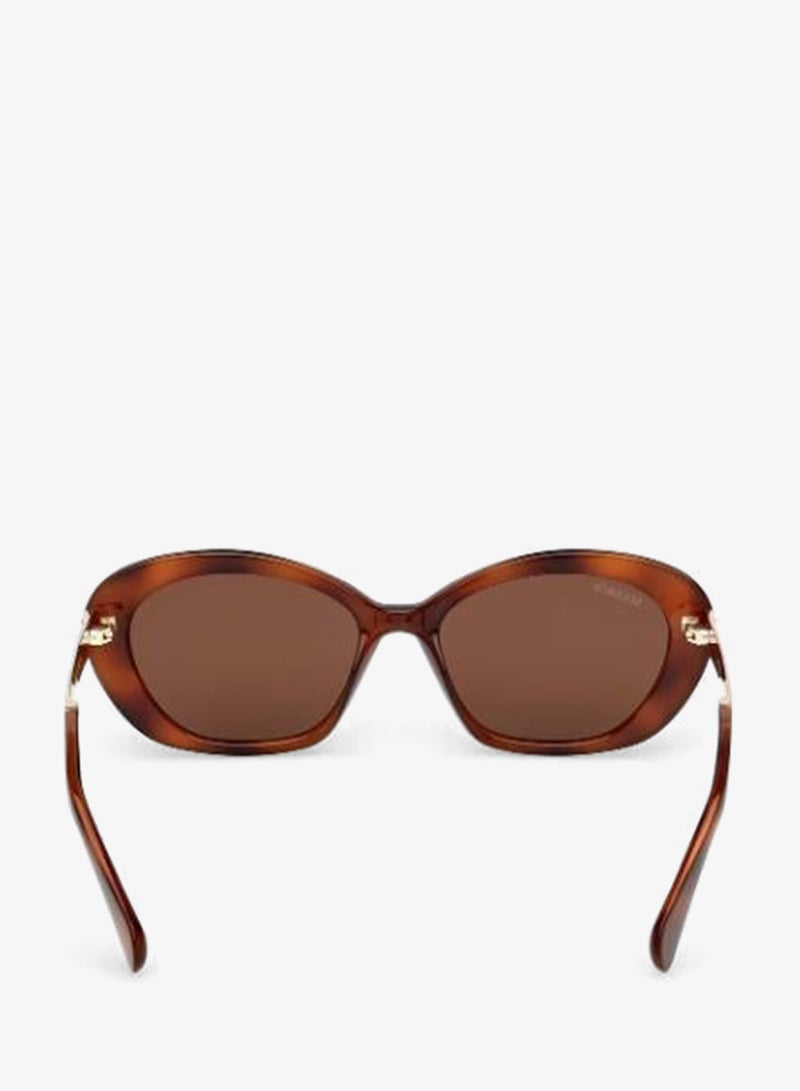 MAXCO SG-dark havana / brown-F - Image 4