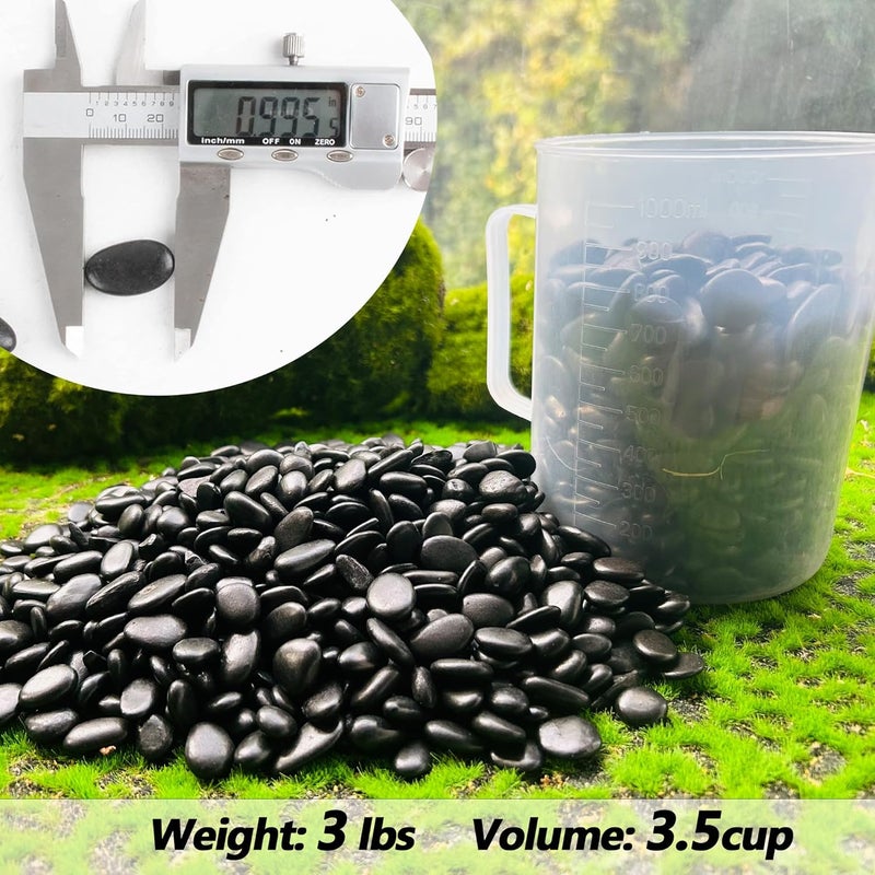 CJGQ Black Pebbles for Plants 3lb Bulk Bag 1"- 1.5" Aquarium Gravel Decorative Polished Stone Natural River Rocks for Fish Tank… - Image 2