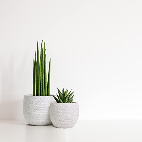 Olly & Rose Olly Rose Barcelona Ceramic Plant Pot Set 2 White Flower Pots Indoor Outdoor Planters White - Image 3