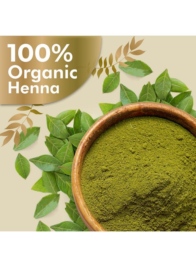 Ozone Henna (Mehndi) Powder | Enriched With Bhringraj Amla Reetha Methi & Shankapushpi | For Naturally Colored Hair Hair Growth Clean Healthy & Bouncy Hair | 200Gm (Pack Of 4) - Image 3