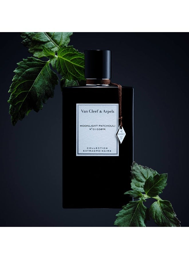 فان كليف آند آربلز - فإن كليف آند آربيلز عطر مون لايت باتشولي 75مل - Image 1