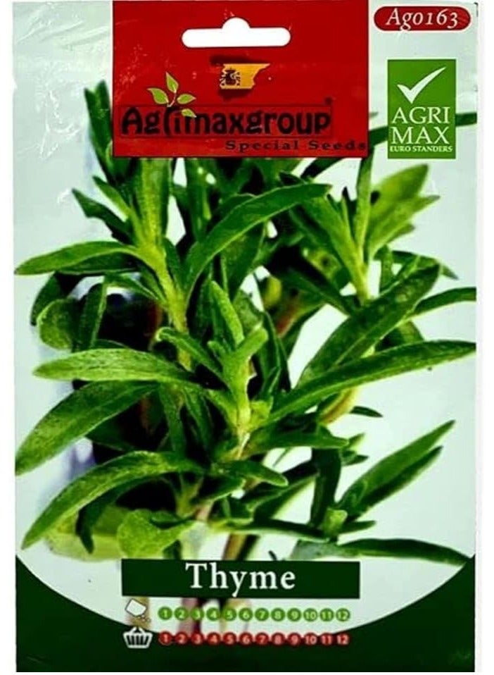 أجريماكس بذور الزعتر عالية الجودة من Agrimaxgroup - Image 2