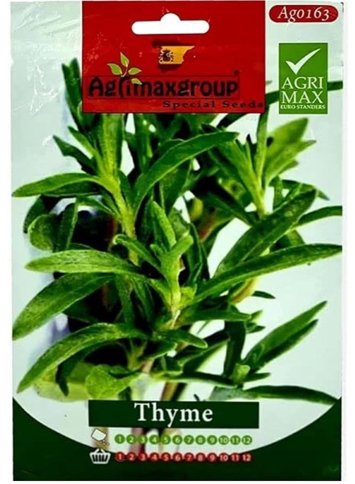 أجريماكس بذور الزعتر عالية الجودة من Agrimaxgroup - Image 1