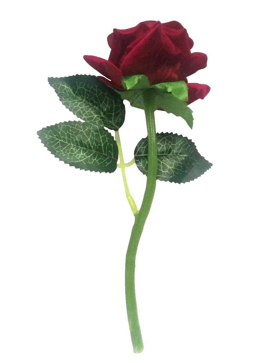 Saugat Traders Saugat Traders Gift- Love Greeting Card, Message Bottle & Artificial Red Rose for Girlfriend-Wife-Girls  - Image 4