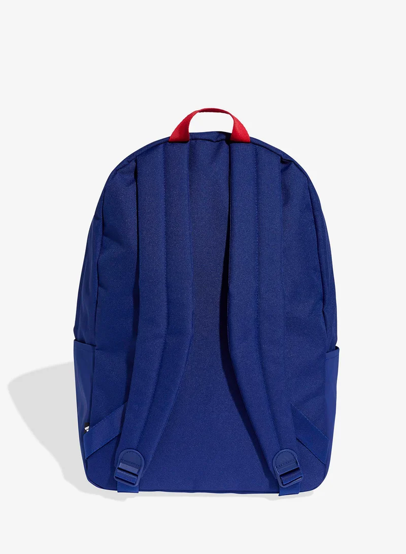 اديداس حقيبة ظهر تيرو جرافيك