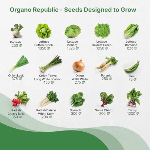 Organo Republic 30 Most Popular Winter Vegetable Garden Seeds Variety Pack- Outdoors/Indoor 33,200+ Non-GMO Heirloom Veggie Seeds Broccoli Beet Carrot Cabbage Chives Lettuce Radish Pea Spinach & More - Image 4
