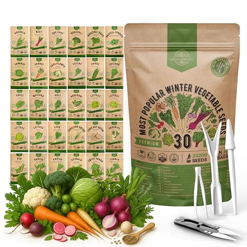 Organo Republic 30 Most Popular Winter Vegetable Garden Seeds Variety Pack- Outdoors/Indoor 33,200+ Non-GMO Heirloom Veggie Seeds Broccoli Beet Carrot Cabbage Chives Lettuce Radish Pea Spinach & More - Image 1