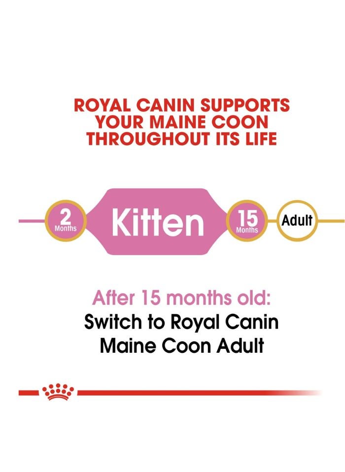 ROYAL CANIN Feline Breed Nutrition Maine Coon Kitten 2 KG - Image 3
