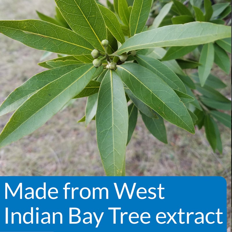 API PIMAFIX Freshwater and Saltwater Fish Remedy 64-Ounce Bottle - Image 4