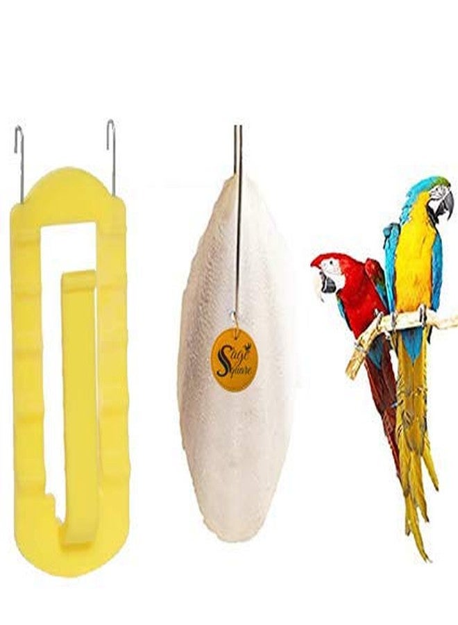 سايج سكوير عظم الحبار الطبيعي عالي الكالسيوم من سيج سكوير للطيور والببغاء (300 غرام مع حامل) - Image 1