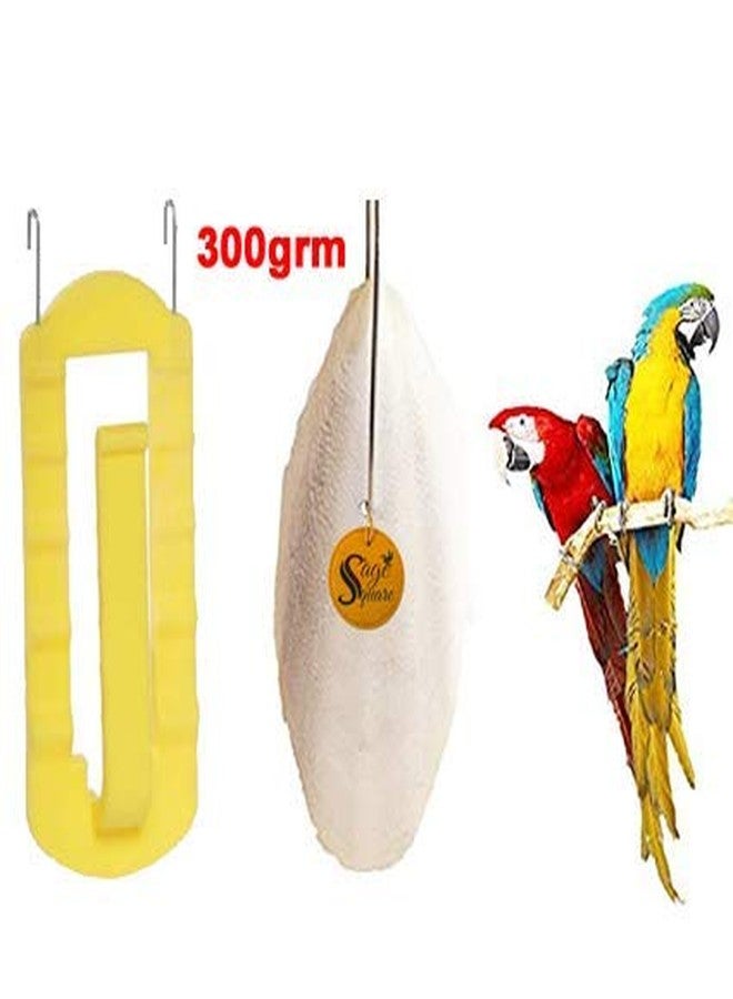 سايج سكوير عظم الحبار الطبيعي عالي الكالسيوم من سيج سكوير للطيور والببغاء (300 غرام مع حامل) - Image 2