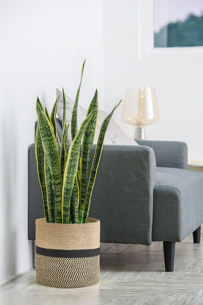 Dahey Jute Rope Plant Basket Modern Woven Storage Basket for 10.5" Indoor Planter, Decorative Flower Pots Cover Laundry Bin with Handle Rustic Home Decor, Black - Image 2