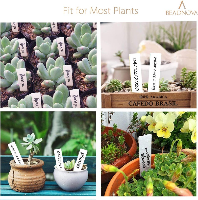 BEADNOVA Plant Labels 100pcs Plant Tags Garden Tags Identification Stakes Plastic Labels for Pots Garden 4 Inch White - Image 5