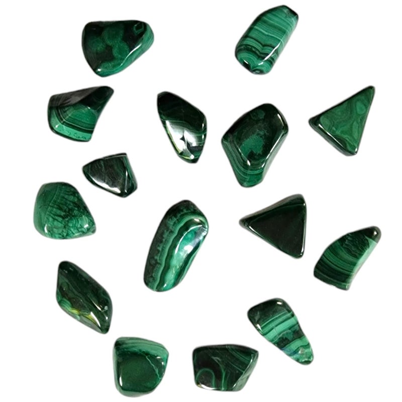 GeoFossils Malachite Large Tumbled Stone