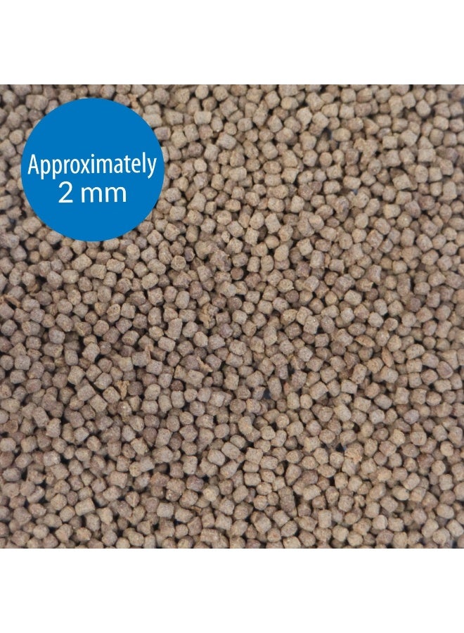 ايه بي آي طعام أسماك السيشليد من API Pellets، 2.5 أونصة - Image 2