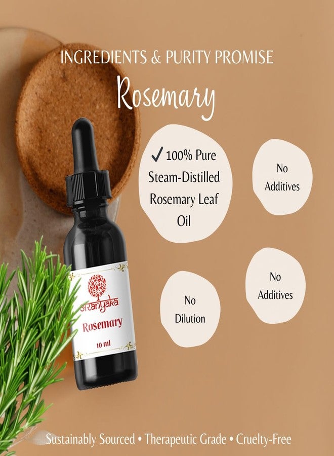 Aranyaka 100% Pure Rosemary Oil - Essential Oil for Diffuser, Hair Growth & Skin - Natural, Undiluted, 10 ml - Image 5