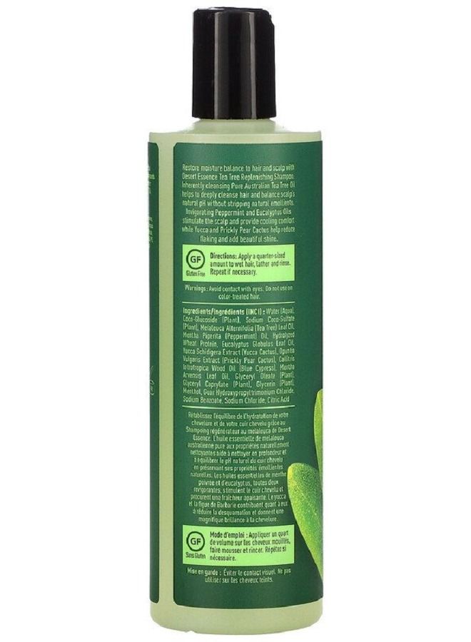 ديزيرت أسينس شامبو مغذي لشجرة الشاي ، 12.7 أونصة سائلة (375 مل) - Image 3