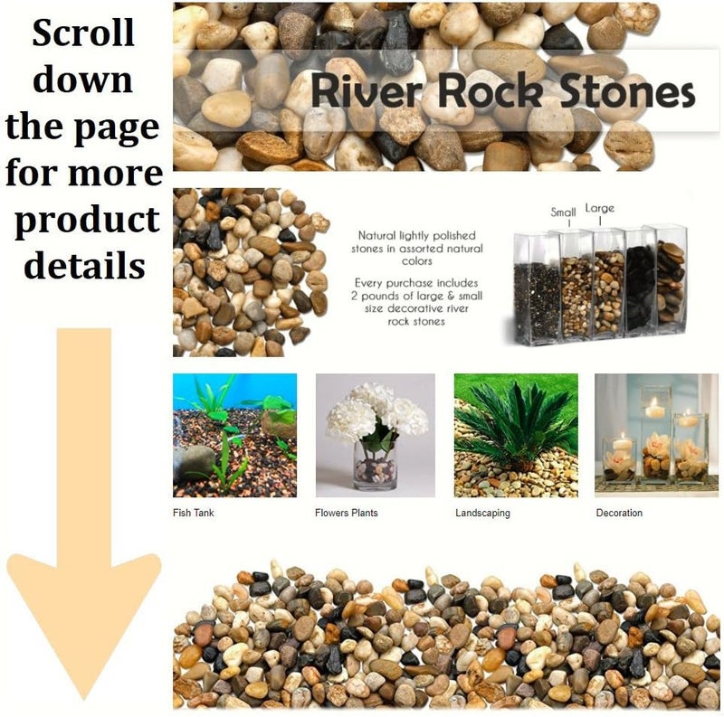 كاتزكو: حجارة نهرية زخرفية كبيرة وزنها 2 رطل، مصقولة طبيعيًا ومتعددة الألوان، يمكن استخدامها في الأواني الزجاجية مثل الوعاءات وأحواض الأسماك والترابيزات لتحسين المظهر. - Image 2
