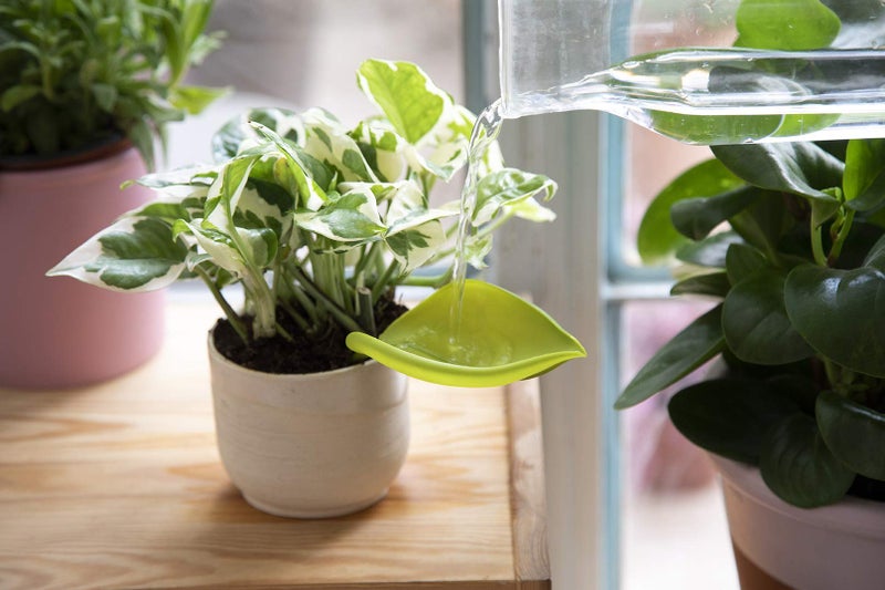 Peleg Design Leaflow Plant Pot Watering Funnel (Set of 3), Plant Watering Funnel for Indoor and Outdoor Plants, Watering Leaves for Plants - Image 2