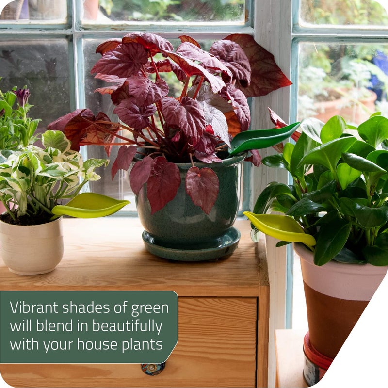 Peleg Design Leaflow Plant Pot Watering Funnel (Set of 3), Plant Watering Funnel for Indoor and Outdoor Plants, Watering Leaves for Plants - Image 4