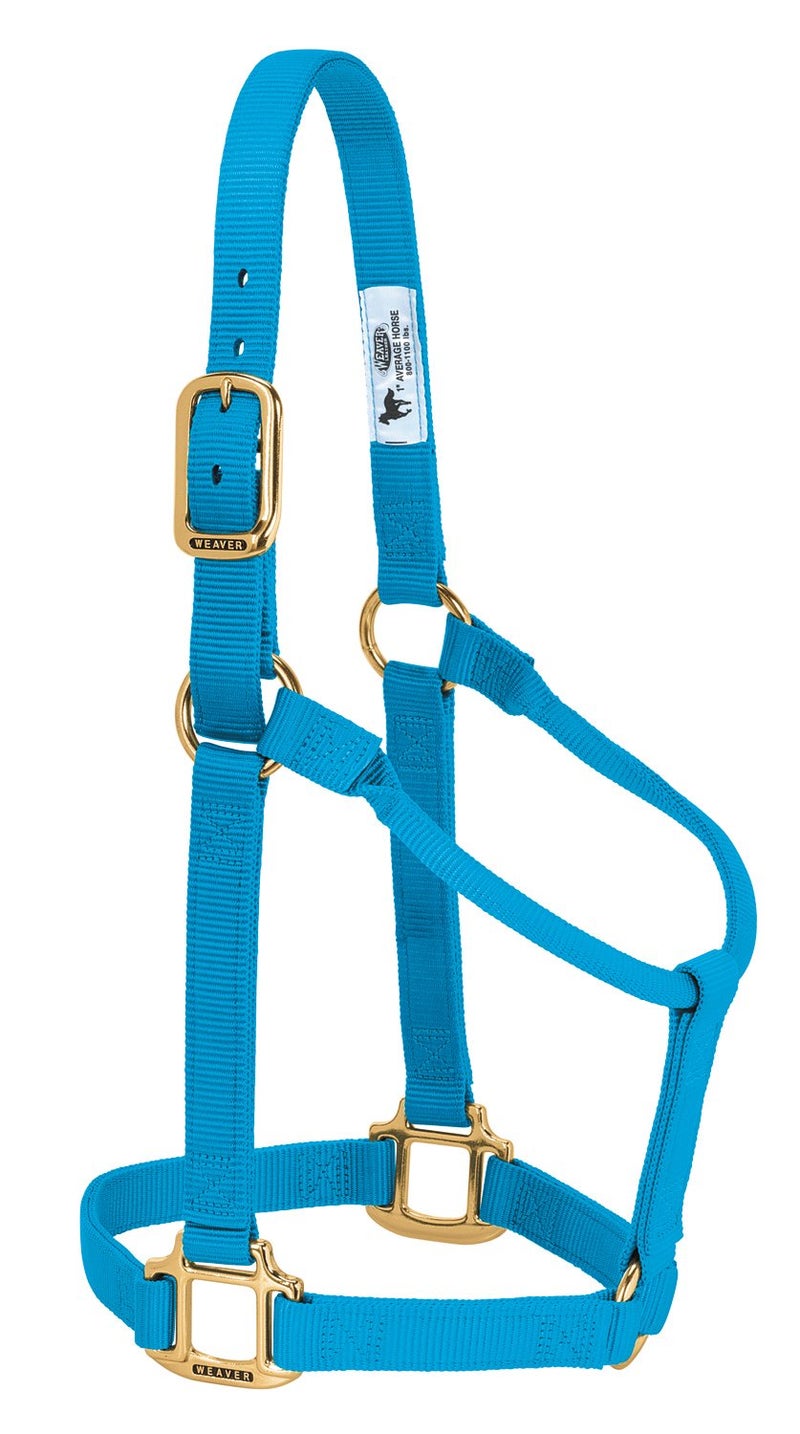 Weaver Leather Original Non-Adjustable Nylon Horse Halter , Hurricane Blue, Weanling/Pony - Image 1