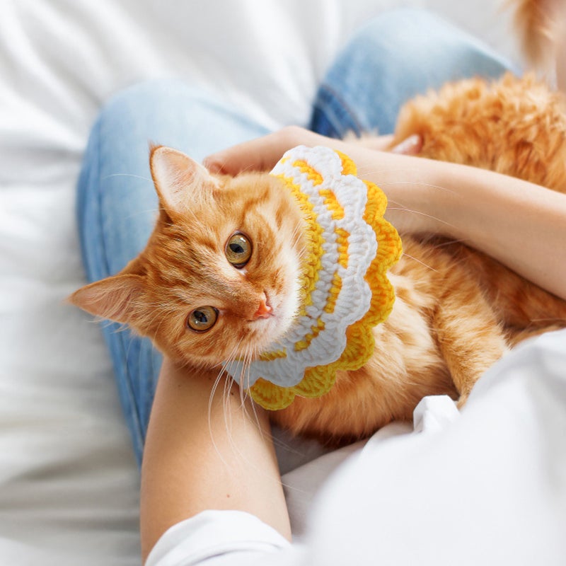 2 pcs Delicate Pet Knitting Scarf Beautiful Cat Neckerchief Pet Supplies - Image 2