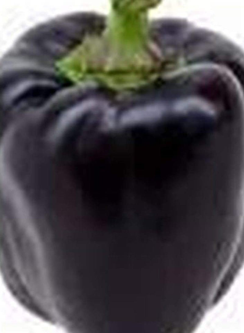 GGOOT 150pcs Pepper Seeds Special Varieties Healthy Green Annual Heirloom Vegetable Seeds  - Image 2