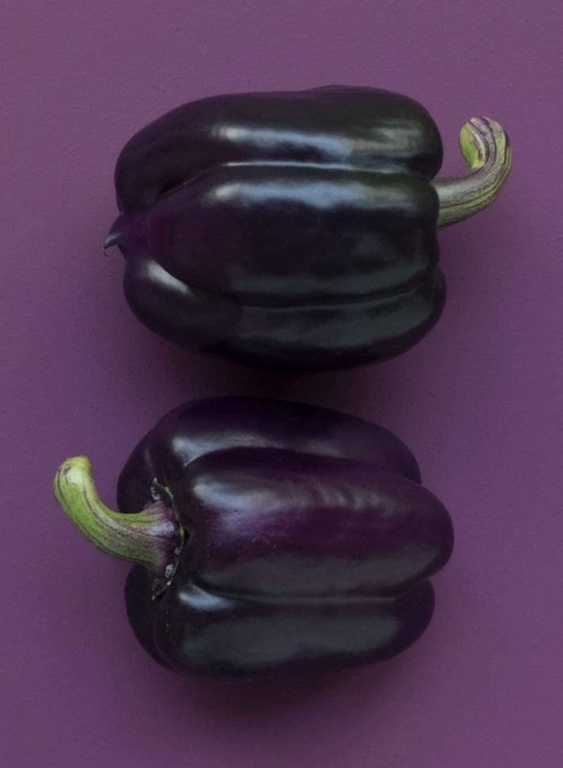 GGOOT 150pcs Pepper Seeds Special Varieties Healthy Green Annual Heirloom Vegetable Seeds  - Image 1