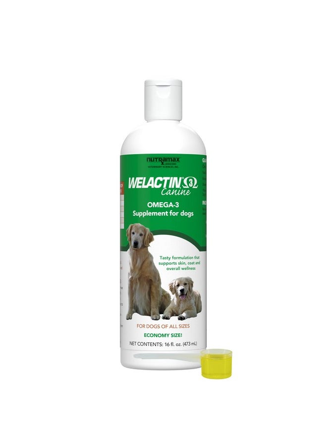 Nutramax Laboratories Nutramax Welactin Omega-3 Fish Oil Skin and Coat Health Supplement Liquid for Dogs - 16 Ounce  - Image 1