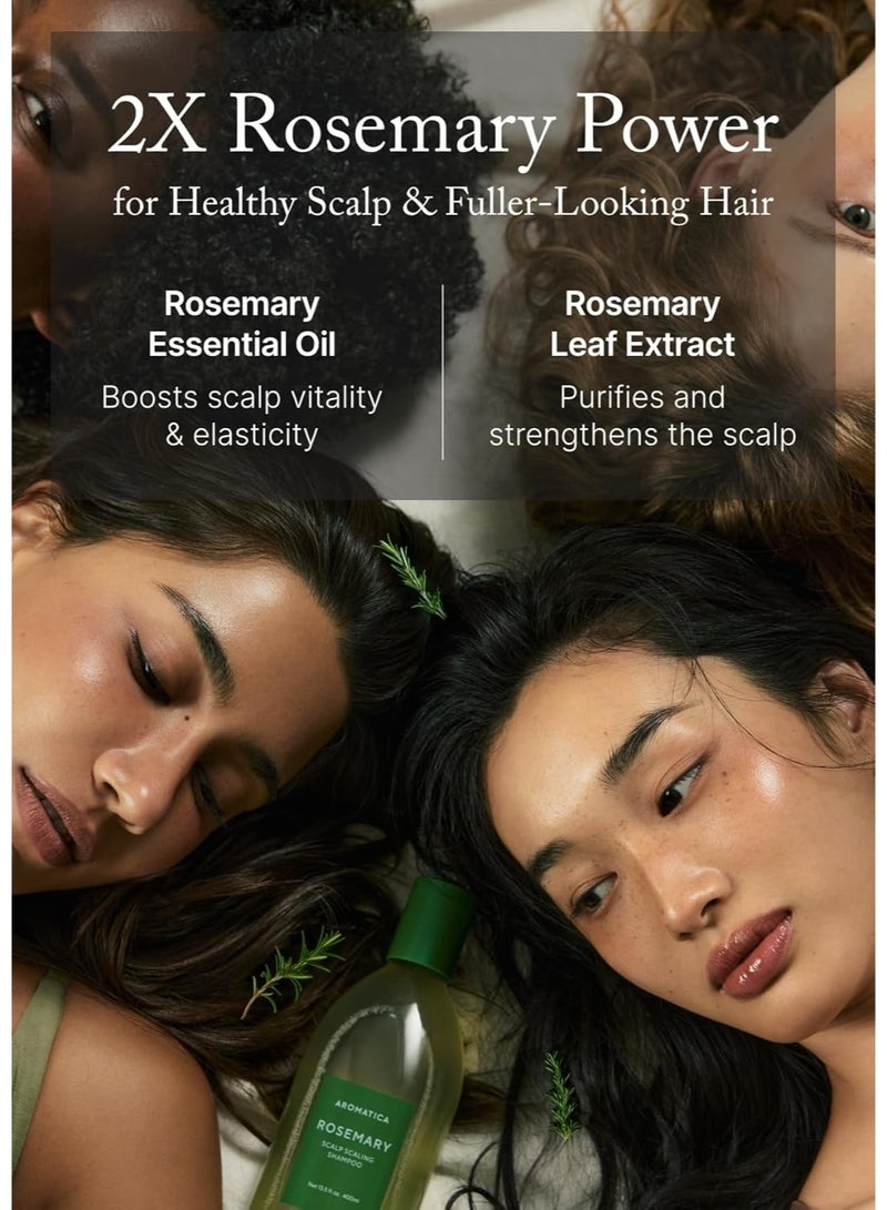 AROMATICA Rosemary Scalp Scaling Anti-Dandruff shampoo 400ml - Image 3