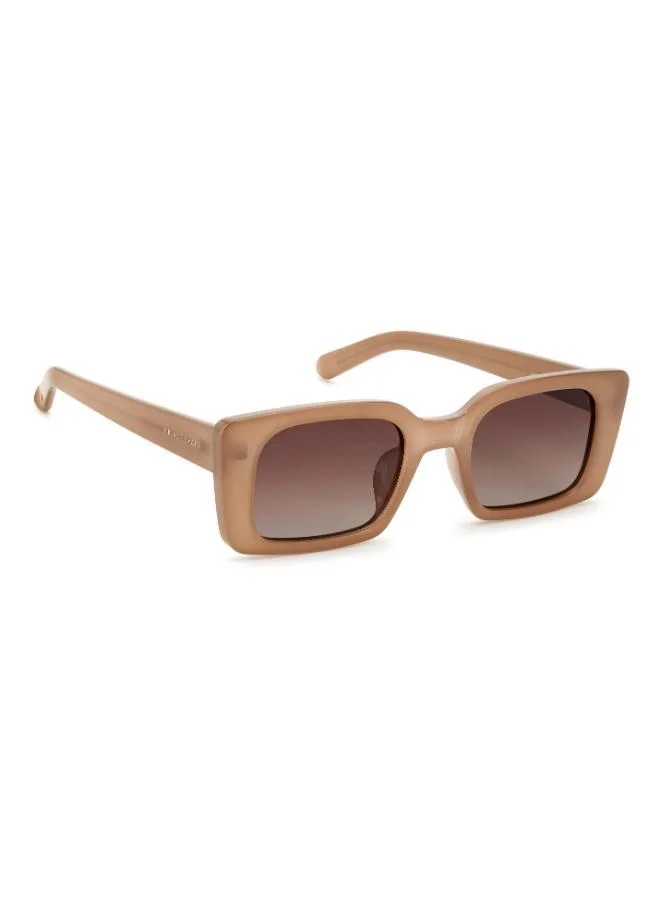 بريف ريفوكس Wayfarers Sunglasses
