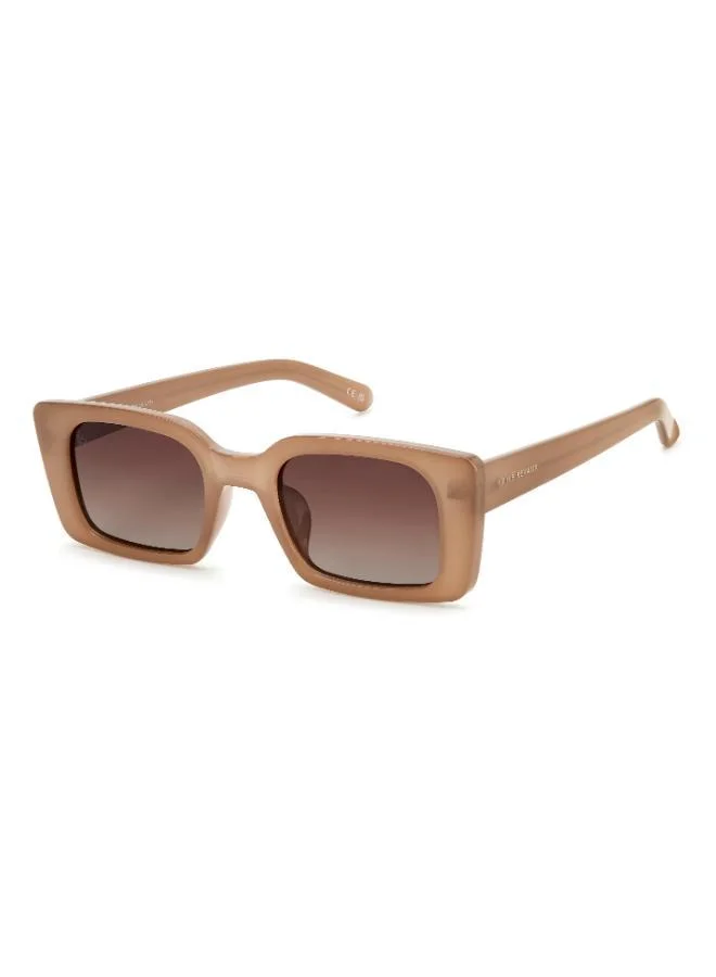 بريف ريفوكس Wayfarers Sunglasses