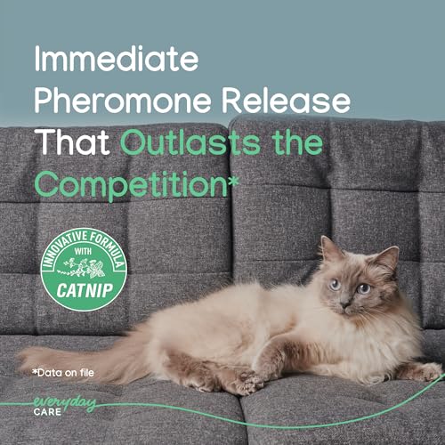 Virbac ZENIFEL Gel Diffuser Managing StressRelated Behaviors in Kittens Cats No Electricity Needed Lasts Up to 2 Months - Image 3