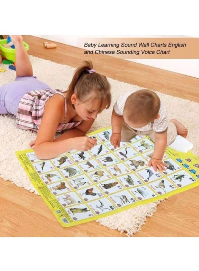 NIBEMINENT Educational Wall Posters Chart Sound Toy 30 x 20 5cm - Image 3