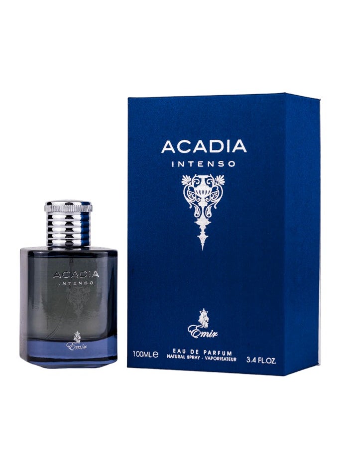 Emir Acadia Intenso EDP For Men 100ml  - Image 1