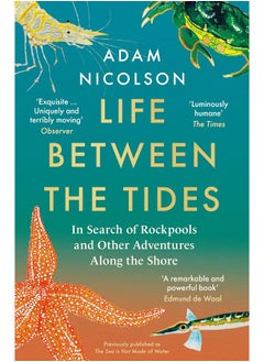 Life Between the Tides: In Search of Rockpools and Other Miracles  - Image 4