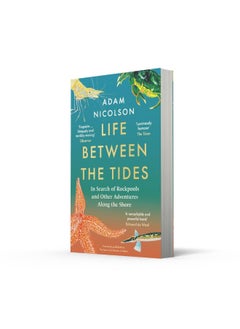 Life Between the Tides: In Search of Rockpools and Other Miracles  - Image 3