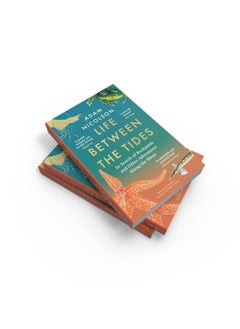 Life Between the Tides: In Search of Rockpools and Other Miracles  - Image 5