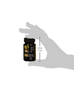 Speedball Mona Lisa Metal Leaf Adhesive, Extra Thick, 2 oz