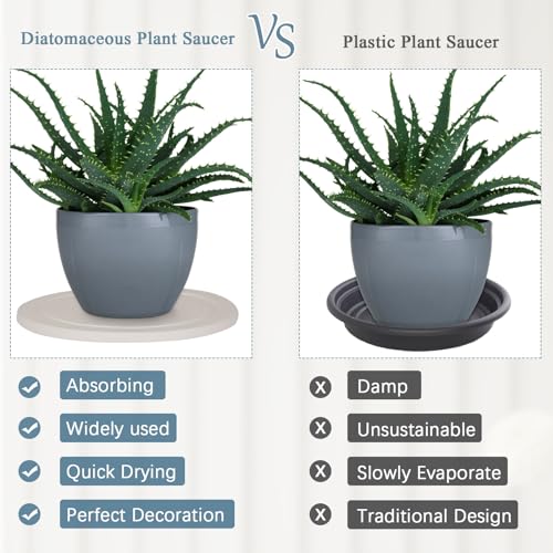 Creproly Plant Saucer Flower Pot Saucers Plant Trays for Pots Instant Dry Diatomaceous Earth Round Plant Drip Trays for Indoors Keeping Counter and Floors Dry and Clean (2Pcs White Large) - Image 4