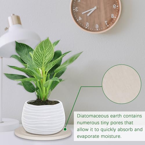 Creproly Plant Saucer Flower Pot Saucers Plant Trays for Pots Instant Dry Diatomaceous Earth Round Plant Drip Trays for Indoors Keeping Counter and Floors Dry and Clean (2Pcs White Large) - Image 5
