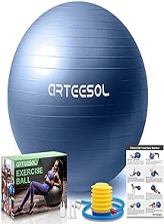 Exercise Ball, Gym Ball Anti-Burst Yoga Ball, 45cm/55cm/65cm/75cm Extra Thick Swiss Ball with Pump, for Fitness Birthing Physio Balance Pilates
